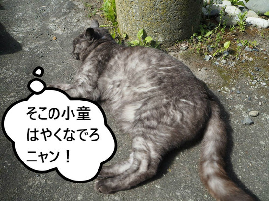 BlogPaint