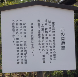 DSC07305