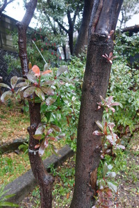 DSC02902