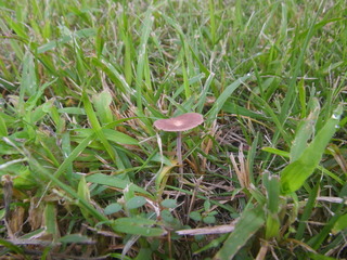IMGP0182