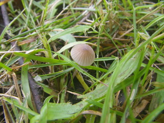 IMGP0184