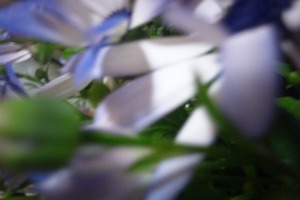 542e83d6.jpg