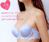 bra