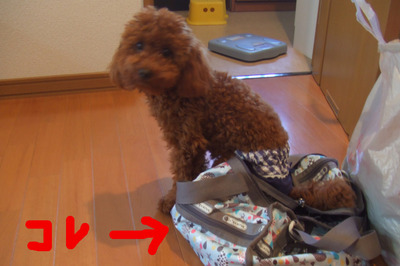 DSCF1005.JPG