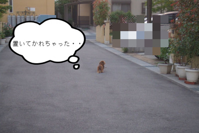 BlogPaint