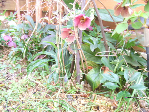 DSCF0690