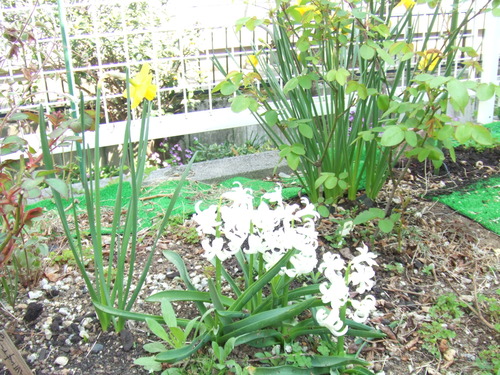 DSCF0691