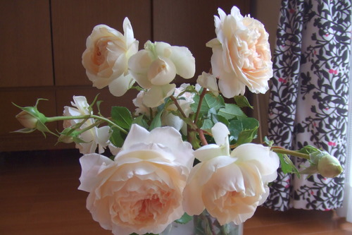 DSCF1264