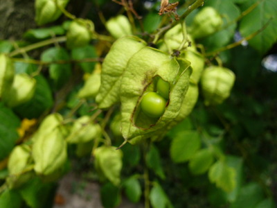 P1370085