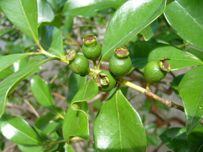 P1370084