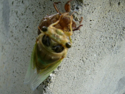 P1370093