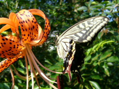 P1370116