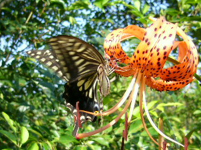 P1370120
