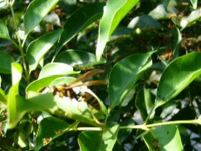P1370123
