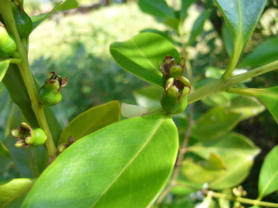 P1370089