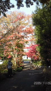 a28f7147.jpg