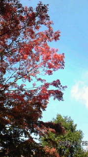 e1bc989e.jpg