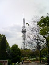 写真1