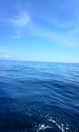 f2280e8f.jpg