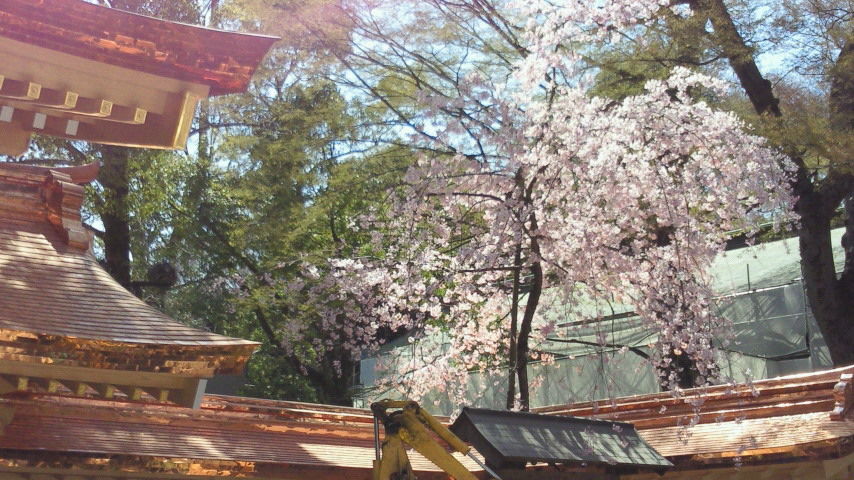 201104061240002