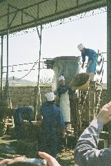 20110412113348