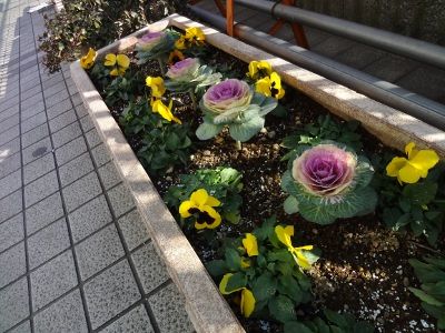 20130130.jpg