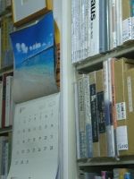 20100828.jpg