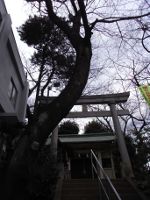 20110130.jpg