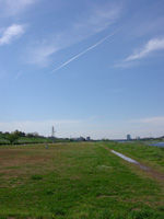 270429.jpg