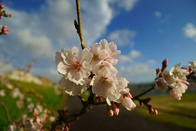 20140331.jpg