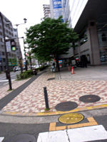 260526.jpg