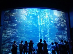 京都水族館２