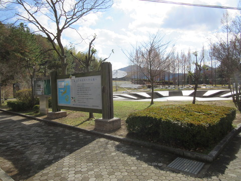 IMG_2011
