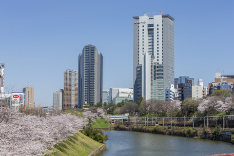 hosei