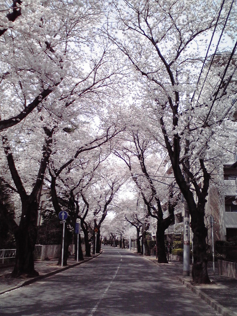 dainamaphoto_102