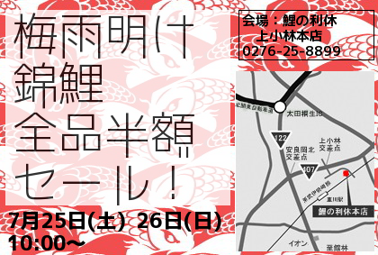 2015夏