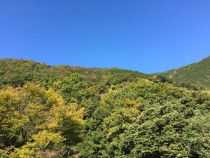 b9fd79f2.jpg