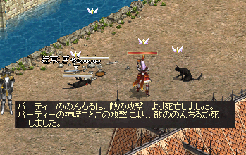 『猫の敷物、欲しいねー』⑦
