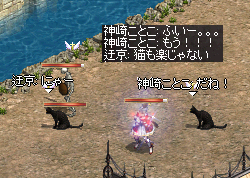 『猫の敷物、欲しいねー』⑥