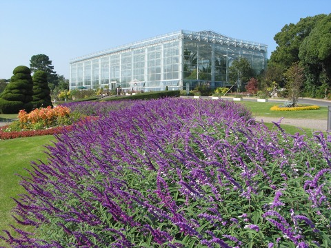 event_flowerpark