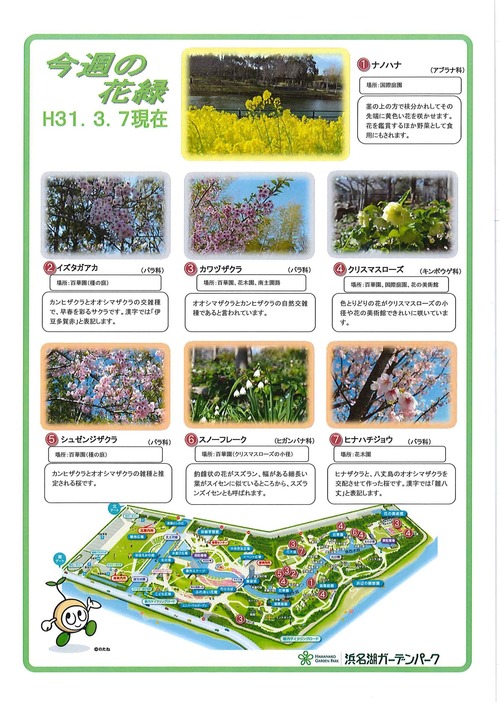 20190307213406801_0001