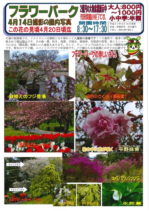 20190415120520775_0001