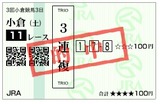 中日新聞杯(GIII)2010