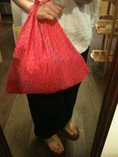 1109ide-bag1
