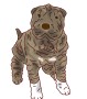 fatimadraw