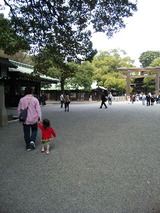 2b08cc36.jpg