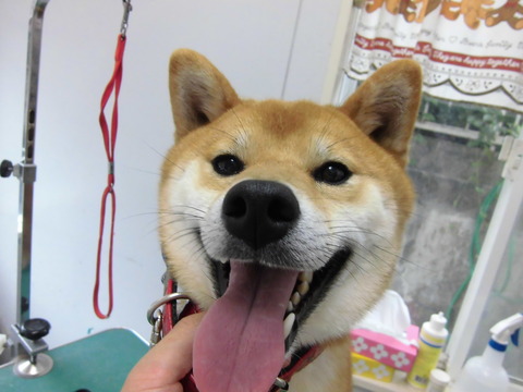 岩下ろく