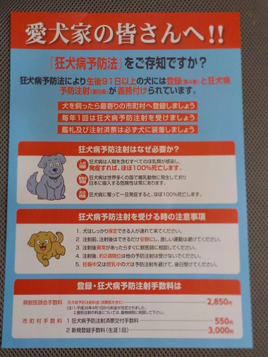 DSCN1031