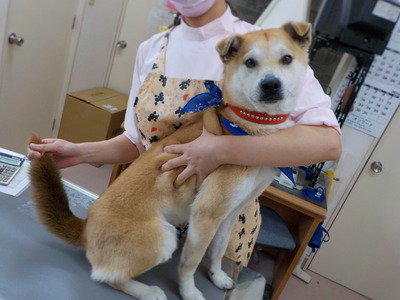 DSCN0216