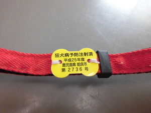CIMG0451